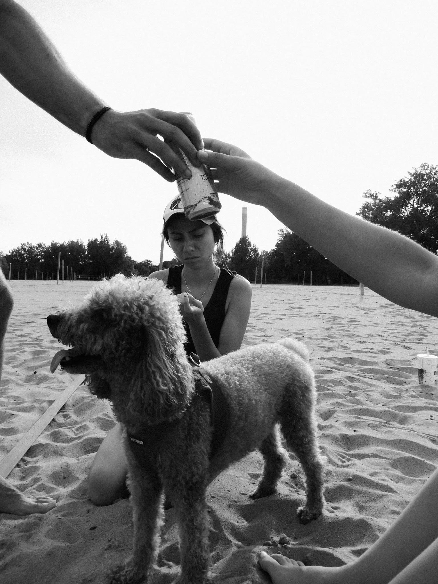 Toronto Documentary Photography — DEVIC FOTOS